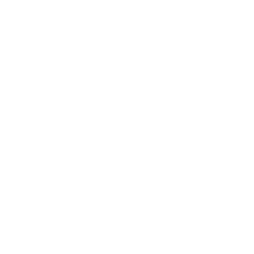 graphic-LT graphic-LT